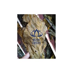 ใบ Noni แห้งคุณภาพสูง - Product Image 1