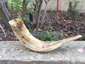 Corne de bélier de qualité supérieure Shofar corne naturelle Shofar pour souffler sur Rosh Hashanah Corne de bélier casher Shofar Kudu polie de qualité supérieure - Product Image 4