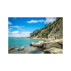 À des prix compétitifs pour les grosses commandes Obtenez Beech Long à des fins d'artisanat et de construction disponibles à la vente à un prix abordable - Product Image 3