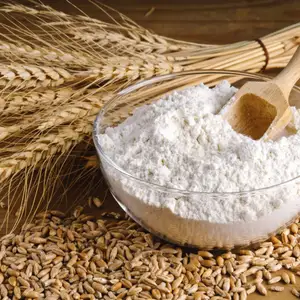 Farine de blé de qualité supérieure pour Backery et Pain disponible pour l'exportation.