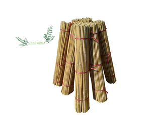 Best Selling 100% Natural Bamboo <b>Stake</b>/Cane/Pole Straight Flexible 10-20mm Diameter Custom Size Agriculture Support Plant Export - Product Image 4