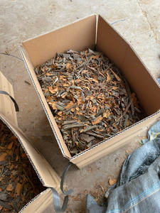 [Muestra Gratis] Cassia Seca Picante Procesada por AD de un Proveedor Confiable de Vietnam - ¡Oferta Especial! Alta Calidad Directo de Fábrica - Product Image 3