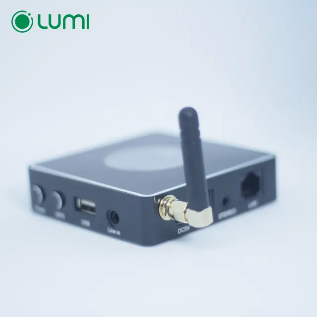 Lumi Audio Multiroom Cerdas Di Rumah Pintar Wifi Nirkabel Bekerja dengan Google Home Kontrol Suara Multiroom-Audio-System