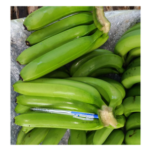 Plátano fresco de Vietnam-Plátano Cavendish verde fresco-Frutas y verduras frescas al por mayor - Product Image 1