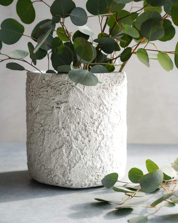 ตามที่แสดง