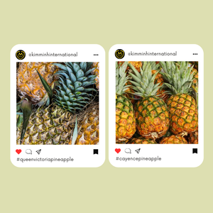 Kim Minh น้ำซุปข้นสับปะรดรสผลไม้และผักเข้มข้นปราศจากน้ำตาลในถุงบรรจุจำนวนมาก - Product Image 3