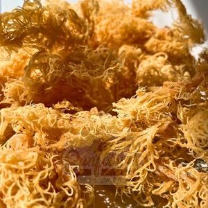 WHOLESALE OEM BULK PACKING <b>DRIED</b> LAVER SEAMOSS SEASONED FD PROCESS PURE ORGANIC NATURAL - Product Image 6