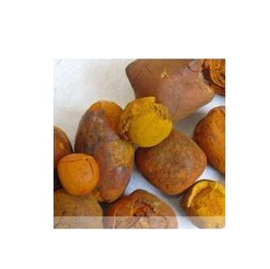 Calculs biliaires de bœuf/bovins/animaux de qualité supérieure à vendre - Product Image 3