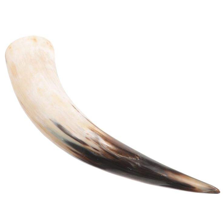 ตามที่แสดง