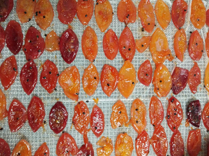 Morceaux de fruits de la passion séchés les plus vendus: collation directe de l'usine du Vietnam, délicieuse et nutritive - Product Image 3