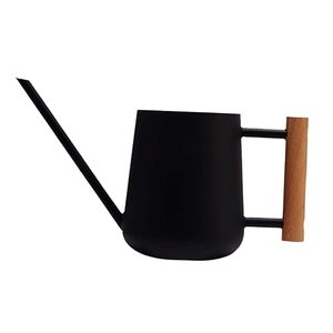 Arrosoir moderne en acier inoxydable pour plantes d'intérieur 35 oz 1000 ml Petit pot d'arrosage en métal - Product Image 2
