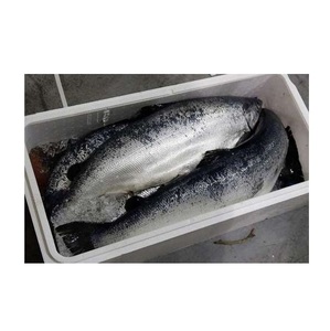 ซื้อปลาแซลมอนแอตแลนติกสดออนไลน์ - Product Image 4