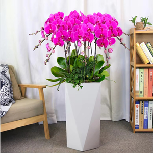 Pot de fleurs en plastique, grands pots de luxe pour hôtel, jardin, macetas, vernis pâtisserie, pour l'intérieur et l'extérieur, idéal comme <span class=keywords><strong>cadeau</strong></span> de noël - Product Image 6