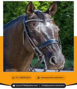 Ribete de aleación de aluminio para bicicleta, accesorio elástico de aleación de aluminio de alta calidad - Product Image 2