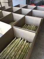 Direct Field Fresh Frozen Whole Shell Raw Sugarcane Juice Premium Vietnam Agriculture GIMEX VIETNAM 3 Year Shelf Life Carton