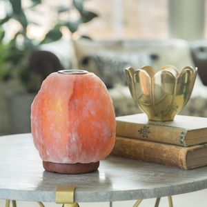 Lámparas de forma natural de sal rosa del Himalaya, hermosas piezas talladas a mano, Base de madera, estilo de amor Animal para Feng Shui - Product Image 2