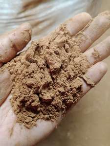 <b>Light</b> Brown Coconut Shell Powder Best Coco Shell Flour From Vietnam for Manufacturing Incense <b>Stick</b> Mosquito Coils - Product Image 2