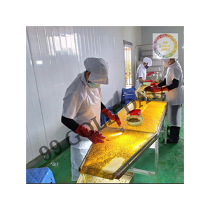 Fruit de la passion surgelé du Vietnam de haute qualité sans sucre ajouté, parfait pour les boissons et les desserts sains - Product Image 3