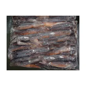 Seta di calamaro essiccata sfusa pesce fresco delizioso snack secchi per il tempo libero calamari Illex essiccati seta prezzo di fabbrica all'ingrosso