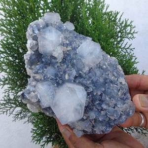 Calcedonia Coral con hermoso espécimen de piedra preciosa de ágata de cristal de apofilita para decoración del hogar - Product Image 1