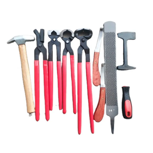 Kit de Herramientas para Recortar Pezuñas de Caballos y Perros, 9 Piezas, Acero Inoxidable Resistente, Instrumentos Veterinarios, Herramientas de Herrador, Marca Horshi - Product Image 1