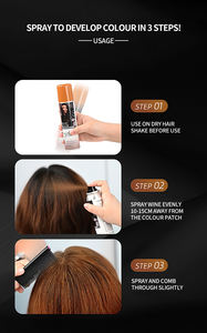 <span class=keywords><strong>Spray</strong></span> de Couverture des Racines des <span class=keywords><strong>Cheveux</strong></span> à Marque Privée Couverture Temporaire des <span class=keywords><strong>Cheveux</strong></span> Gris Teinture pour <span class=keywords><strong>Cheveux</strong></span> Résistante à l'Eau <span class=keywords><strong>Spray</strong></span> de Couleur pour <span class=keywords><strong>Cheveux</strong></span> - Product Image 6