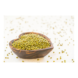 Haricots mungo de qualité supérieure en vrac, gramme de haricot vert premium, livraison rapide en gros - Product Image 1