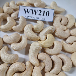 Kaju ถั่วเม็ดมะม่วงหิมพานต์แห้ง WW210จากผู้จำหน่ายที่เชื่อถือได้ถั่วแซนติโกขนาดใหญ่และเมล็ด - Product Image 1