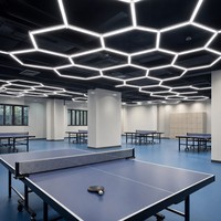 Luminaire LED hexagonal en aluminium pour salle de tennis de table, 6000K CRI 90, étanche IP42, angle de faisceau 180°, 60000lm haute luminosité