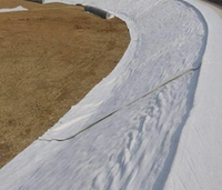 Tissu géotextile non tissé en PET pour la construction routière, le drainage et la séparation des sols, tapis de filtration, rouleau de géotextile