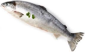 ปลาแซลมอนแอตแลนติก (Salmo Salar)-คุณภาพพรีเมียม โปรตีนสูง สดใหม่ แช่แข็งแบบ BQF ชิ้นเนื้อปลา บรรจุภัณฑ์สุญญากาศ-เก็บรักษาด้วยเกลือ-1กก. ลอนดอน - Product Image 3