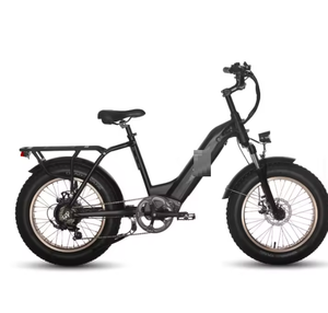 มอเตอร์ Antel0pe Pro 750W Baf-angz รับน้ำหนักได้ 400 ปอนด์ แบตเตอรี่คู่ โครงสร้าง AL6061 จอ KT-LCD10H - Product Image 6