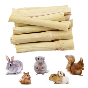 100% palitos de caña de azúcar secos naturales de Vietnam, precio barato, listos para el mercado de exportación - Product Image 2