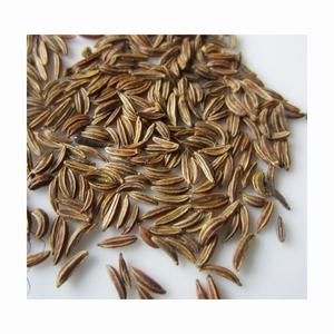 Semillas de alcaravea de extracto de hierbas silvestres verdes y marrones 100% embalaje de tarro de albañil natural para alimentos saludables - Product Image 1