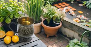 Mules de Moscou tasses en laiton-Capacité de 100% tasses en laiton massif pur fabriquées à la main-18 oz. - Product Image 5