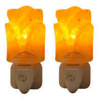 Lampe en cristal de sel de l'Himalaya JOBAK de qualité supérieure, sculptée à la main, support d'ampoule réglable en forme de fleur, lumière d'ambiance chaude Feng Shui