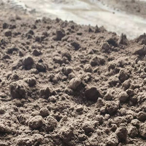 Cenizas volantes Premium de Vietnam SaltGuard ASTM C618 para una fabricación robusta de cemento antisalino - Product Image 1