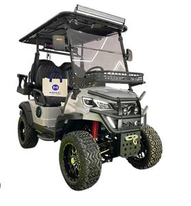 Nouveau buggy de golf monoplace électrique avec batterie au lithium, support OEM personnalisable, qualité industrielle - Product Image 3