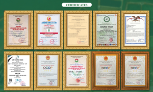 Suplementos de Proteínas y Nutrición para Adultos y Niños, Caja al por Mayor, OEM, ODM, Bebida de Nido de Pájaro Rica en Taurina y Lisina KhaNest - Product Image 6