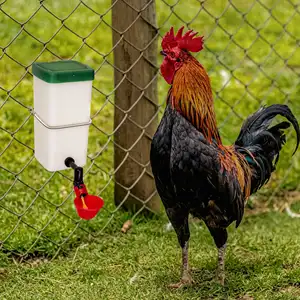 Easy to Install on Chicken Coop Wire Cage Poultry Drinker Cup Water Bowl CD01 with Plastic Drinker Bottle RD32 1L Volume