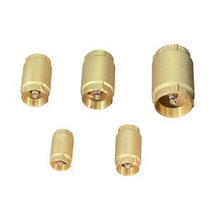 Durable High-Temperature Brass Check <b>Valve</b> for General Application for All Environments - Product Image 1