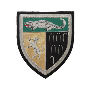 Pips de alambre de lingotes de oro de alta calidad, insignia de estrella bordada de encaje único británico, decoración alta para coser - Product Image 4