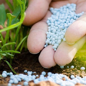 Proveedor Mayorista de Fertilizante de Nitrato de Prill Soluble para Plantas de Interior, Suculentas y Uso Hidropónico - Product Image 6