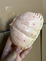 Découvrez le secret des plats savoureux avec des coquilles de crabe séchées vietnamiennes de qualité supérieure pour la saveur et la nutrition