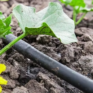Nastro agricolo moderno di irrigazione a goccia <span class=keywords><strong>per</strong></span> il risparmio idrico <span class=keywords><strong>per</strong></span> il <span class=keywords><strong>giardino</strong></span> - Product Image 2