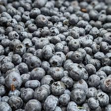 Qualité supérieure IQF Entiers 100% Myrtilles SUNRISE IMPEX Durée de conservation de 24 mois pour les smoothies, la pâtisserie Origine USA Prêt à l'exportation Frais - Product Image 4