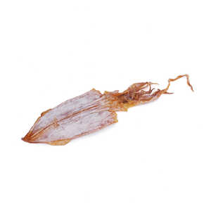 Premium Dry <b>Cuttlefish</b> Sun Dried Whole Packed Bulk Supplier Frozen Export Cleaned Preserved Ocean Grade Seafood Fresh Quality - Product Image 2