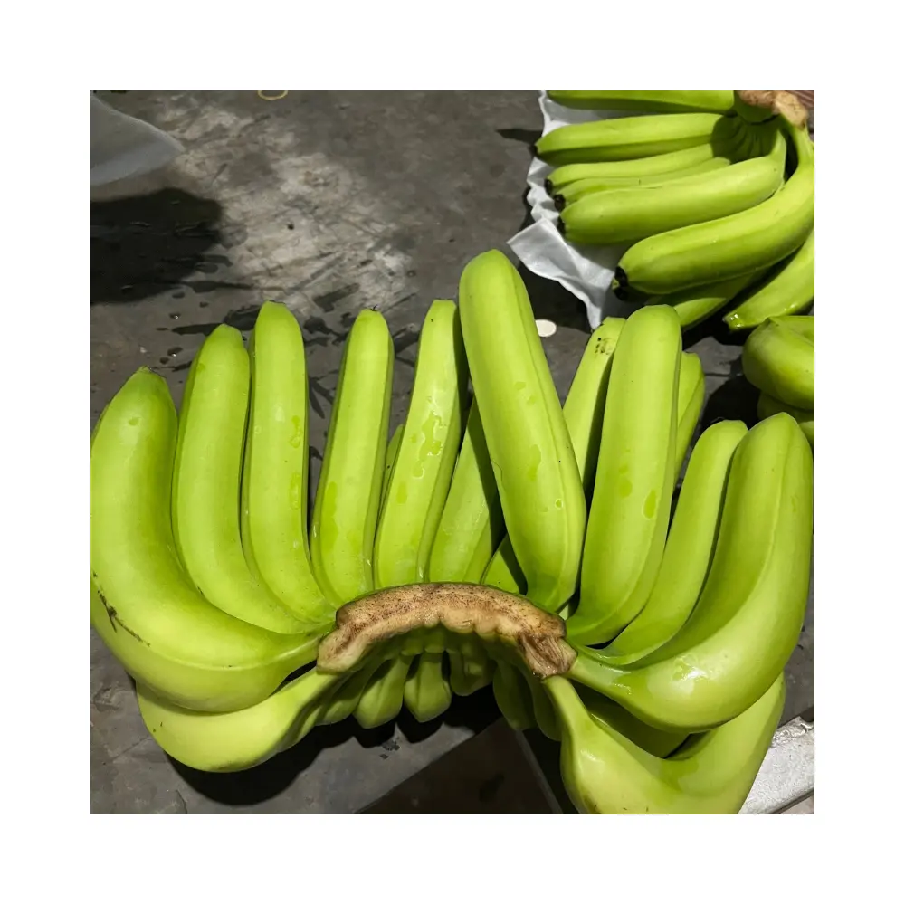 Вкусные Кавендиш Бананы: Гарантированная свежесть