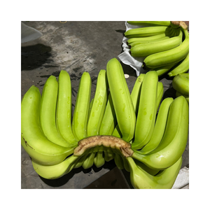 Bananes Cavendish savoureuses : fraîcheur garantie - Product Image 1