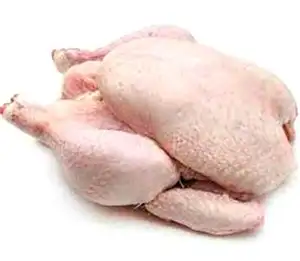 Meilleure vente de viande de poulet entier en usine de gros